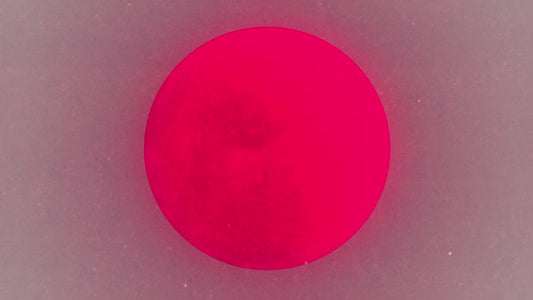 Silhouettes 17