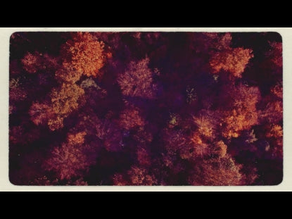 Fall Leaves Top Down Retro
