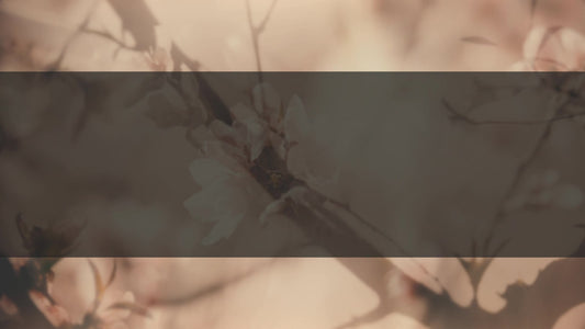 Muted Spring Blush Box