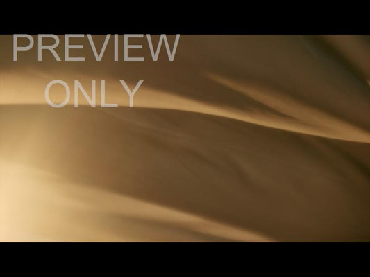 Banner Flow Slide 03