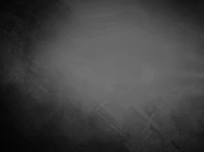 Honoring Our Vets Motion 4