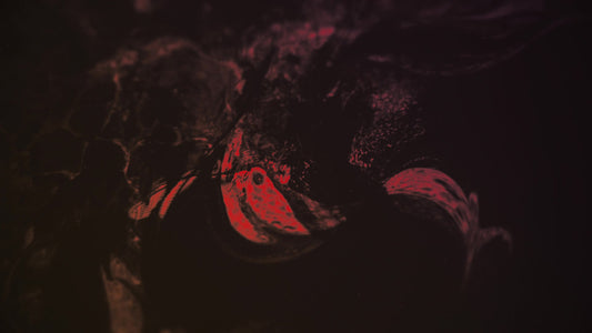 Dark Distortion 3 Color