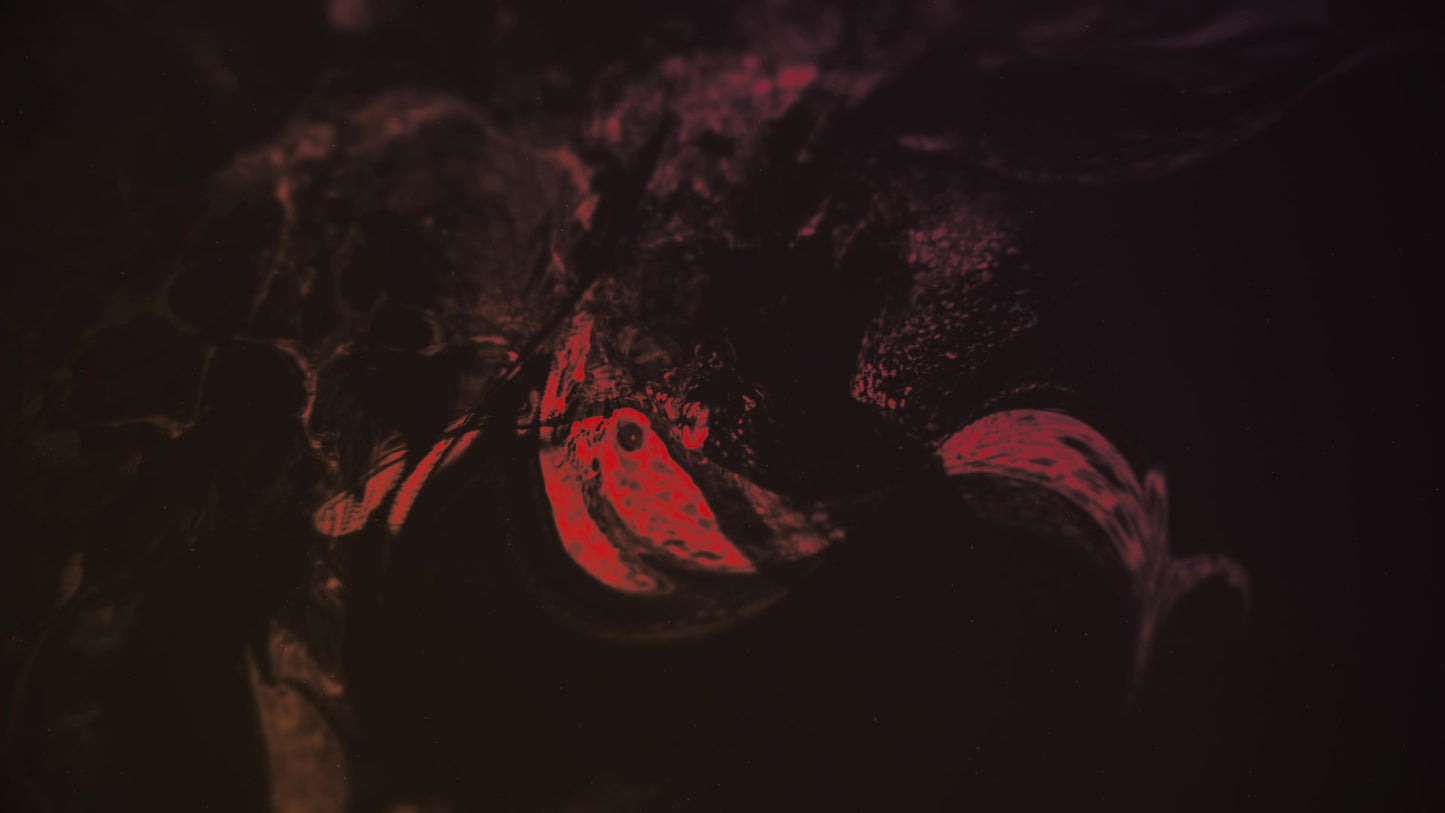 Dark Distortion 3 Color Still
