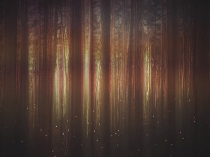 Fall Equinox 7