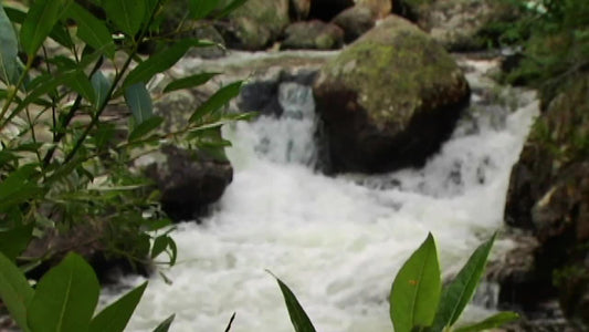 Stream And Boulder