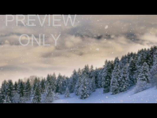 Snow Shimmer: 12 Still