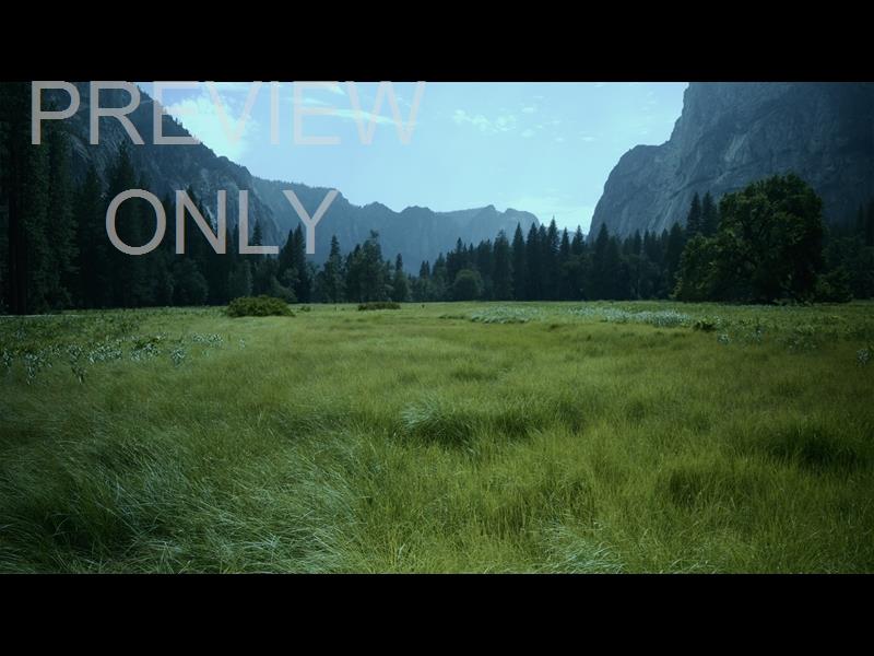 Yosemite Meadows Still - 03