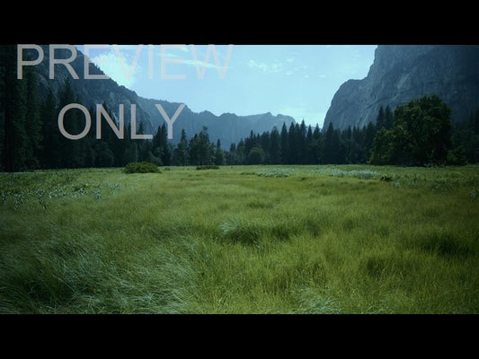 Yosemite Meadows Still - 03