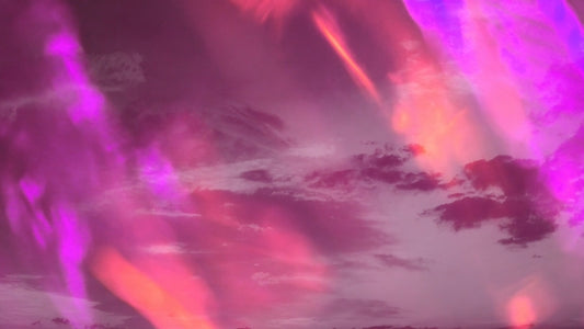 Refracted Nature 02