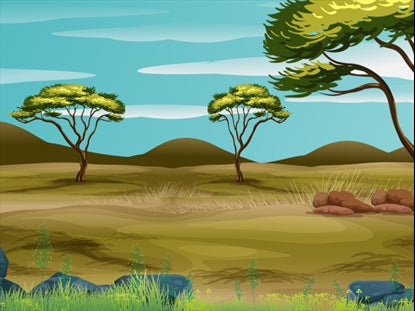 Safari Adventure Motion 7