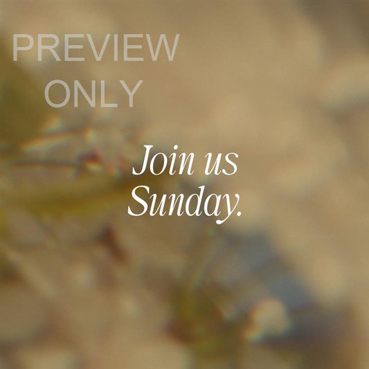 Daydream Social Graphic 01