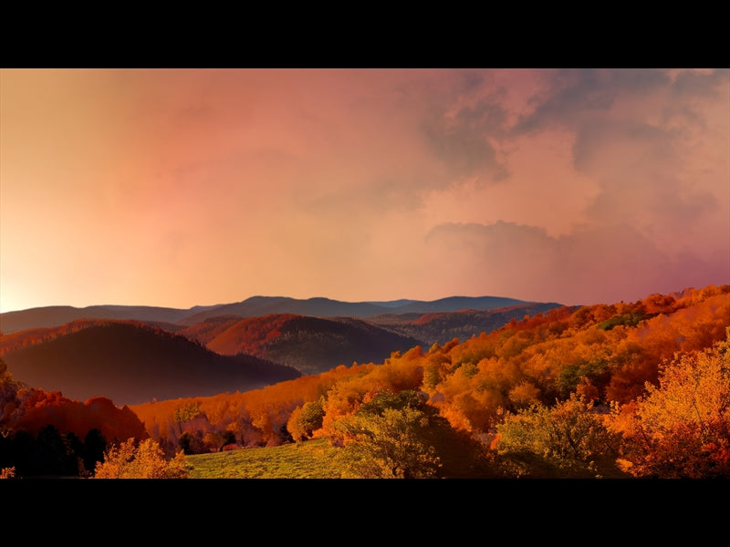 Wilderness Fall 12