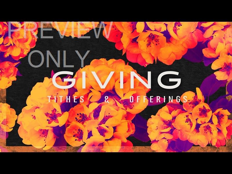 Bold Blooms Giving Still