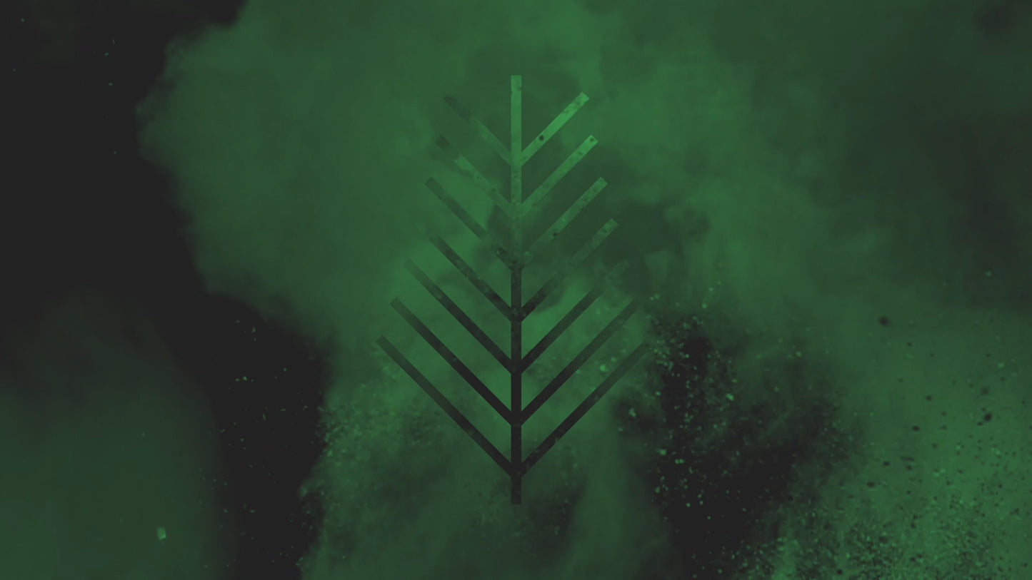 Color Burst Palm Sunday 01