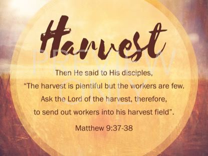 The Great Commission Matthew 9 Still