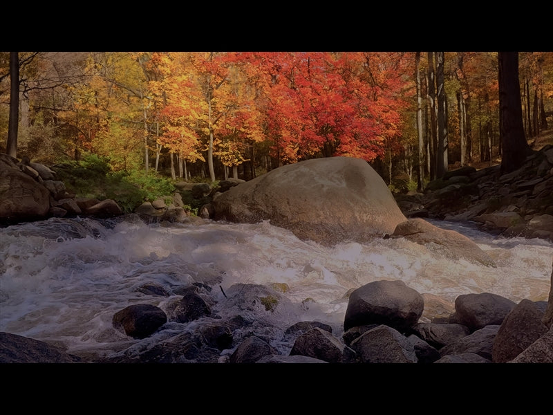 Northwest Fall 7
