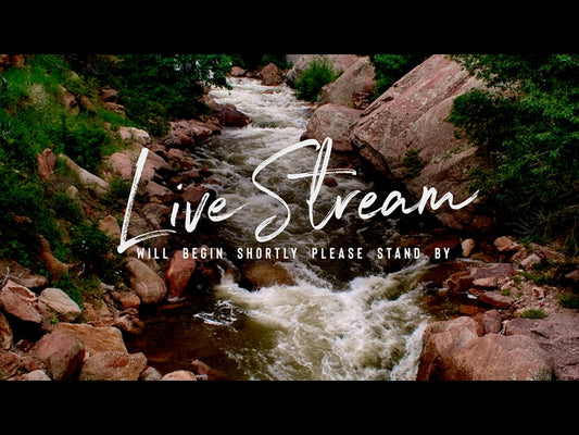El Dorado Live Stream Motion