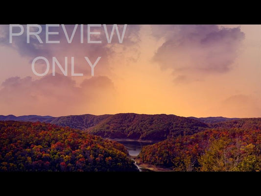 Wilderness Fall 5 Still