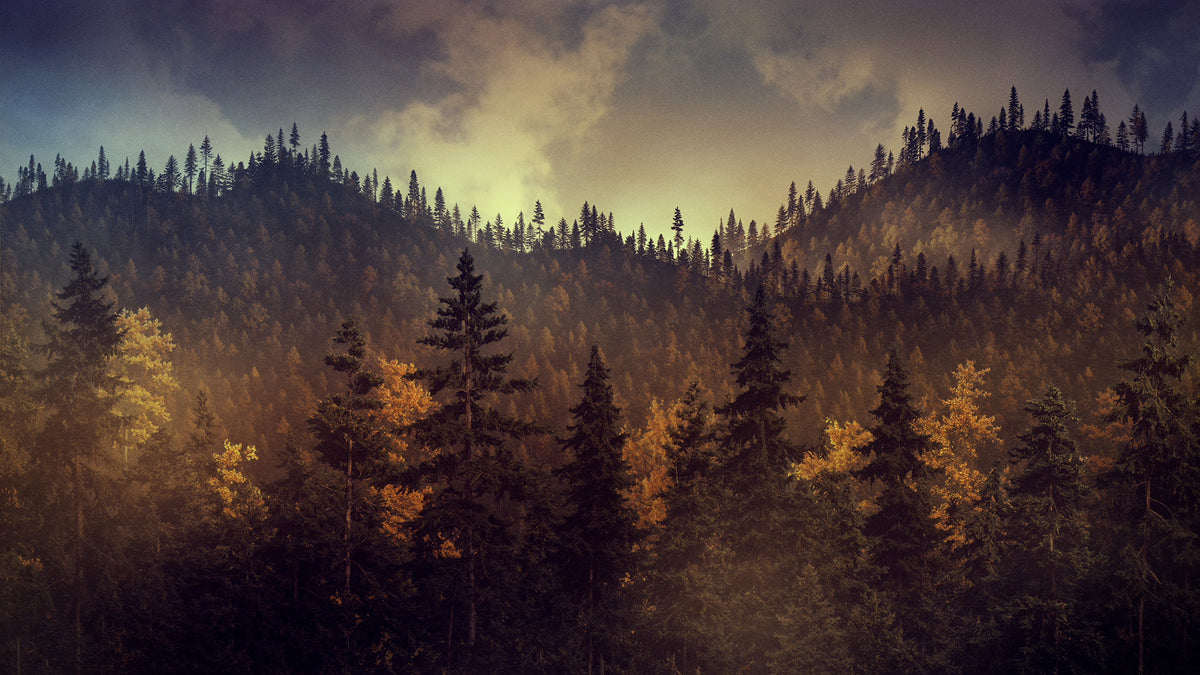 Ridgeline Fall 7