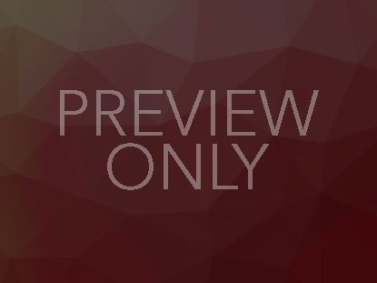 Geometric Colors Red Still