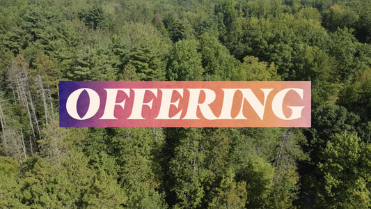 The Forest Offering Still