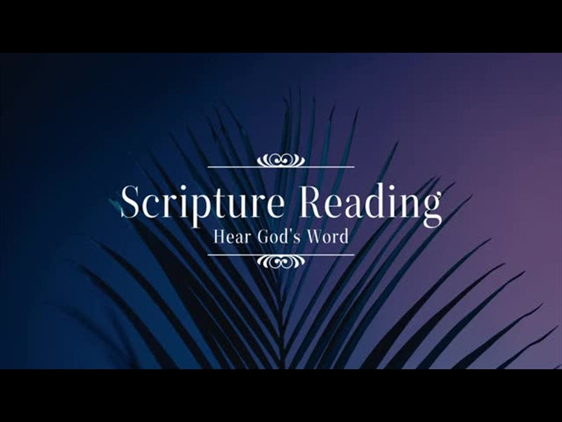 Cinematic Palms Scripture Reading