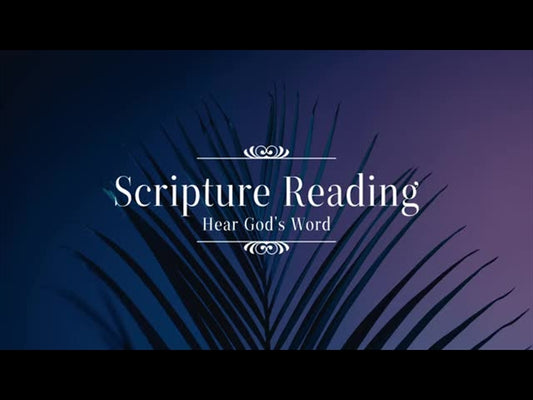 Cinematic Palms Scripture Reading