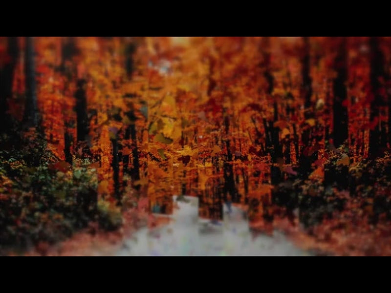 Autumns End 3