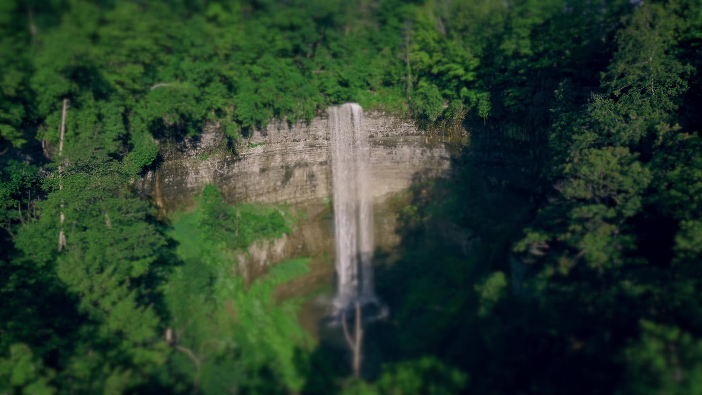 Nature's Force 9