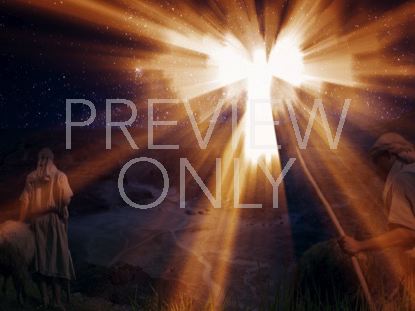 Our Coming Savior Shepherds