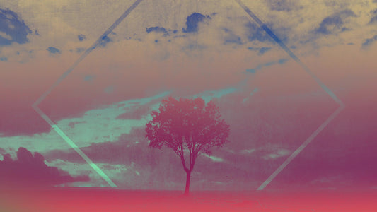 Lonely Tree Single Still