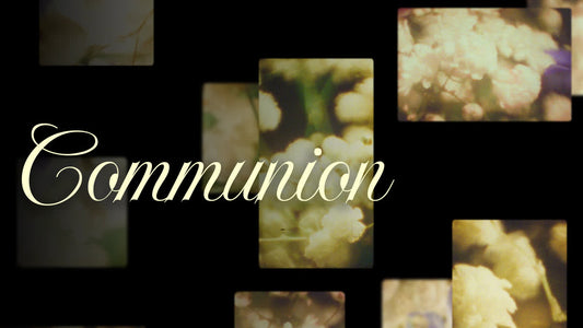 Bloom Again Communion