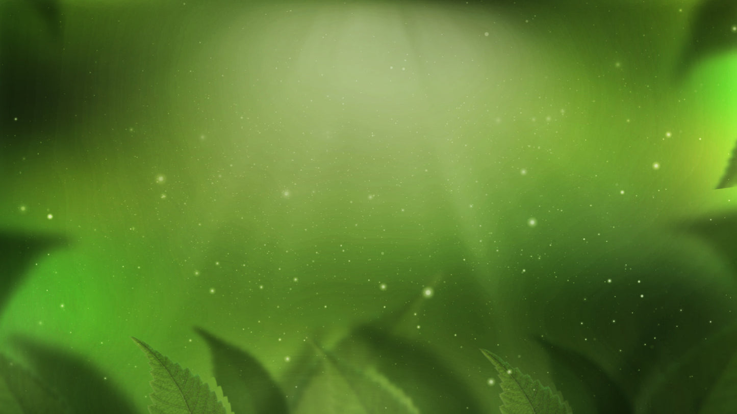 Fresh Outlook Still 1