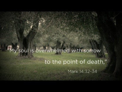 Gethsemane: Stations Of The Cross