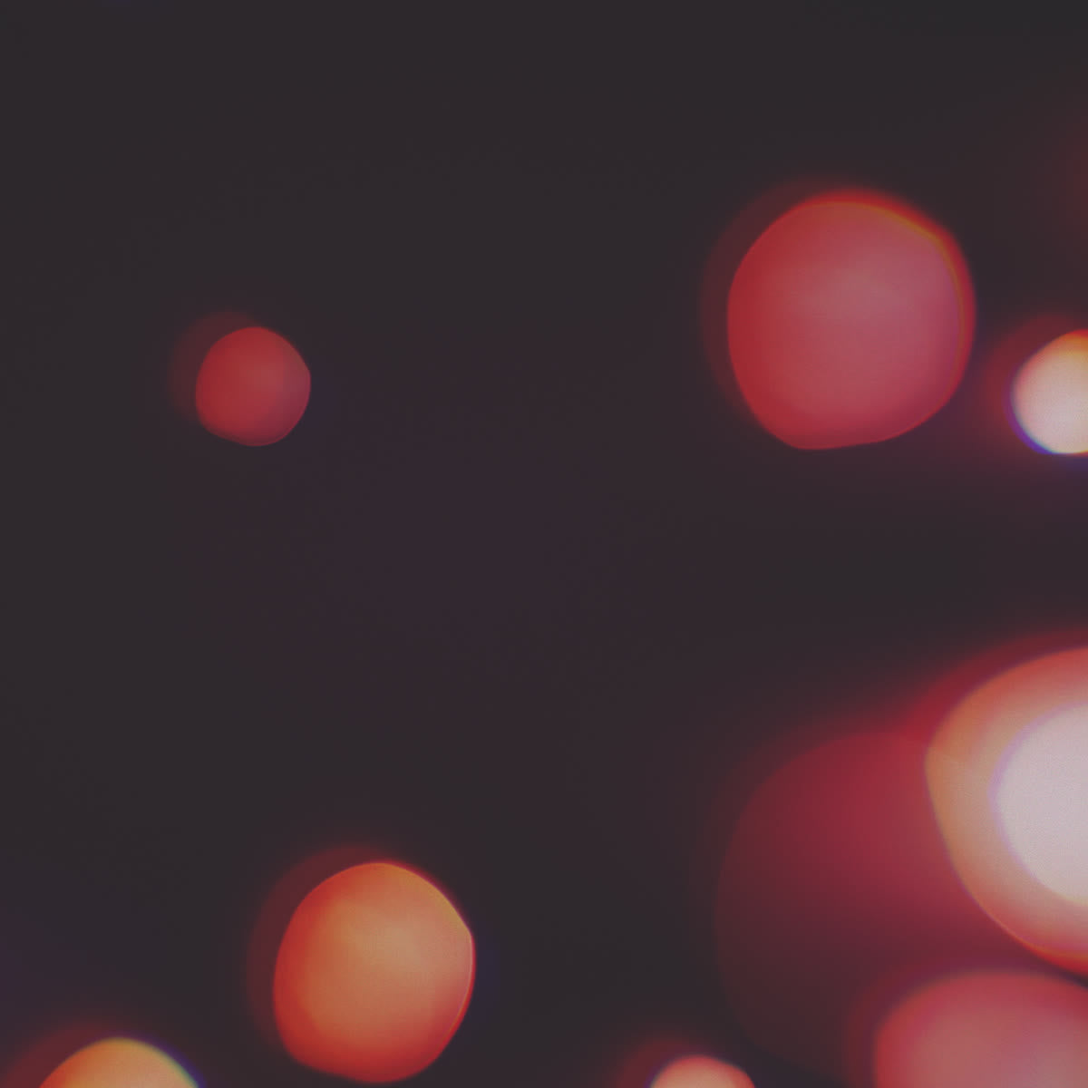 Blissful Bokeh Giving Blank