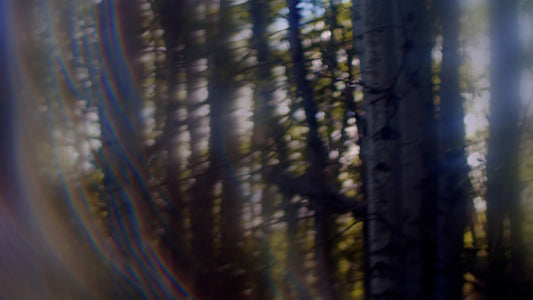 Like A Tree Still 03