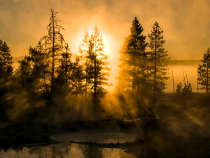 Morning Fog