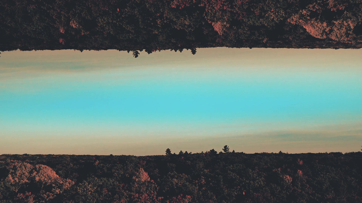 Fall Foliage Remixed 13 Still