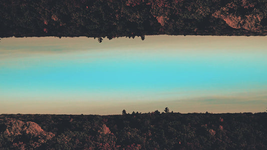 Fall Foliage Remixed 13 Motion