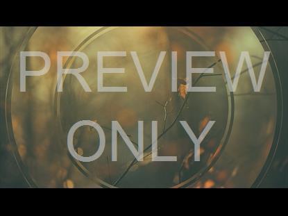 Restless Fall 4 Graphic