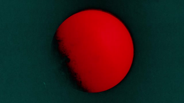 Silhouettes 6