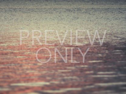 Reflective Water Still