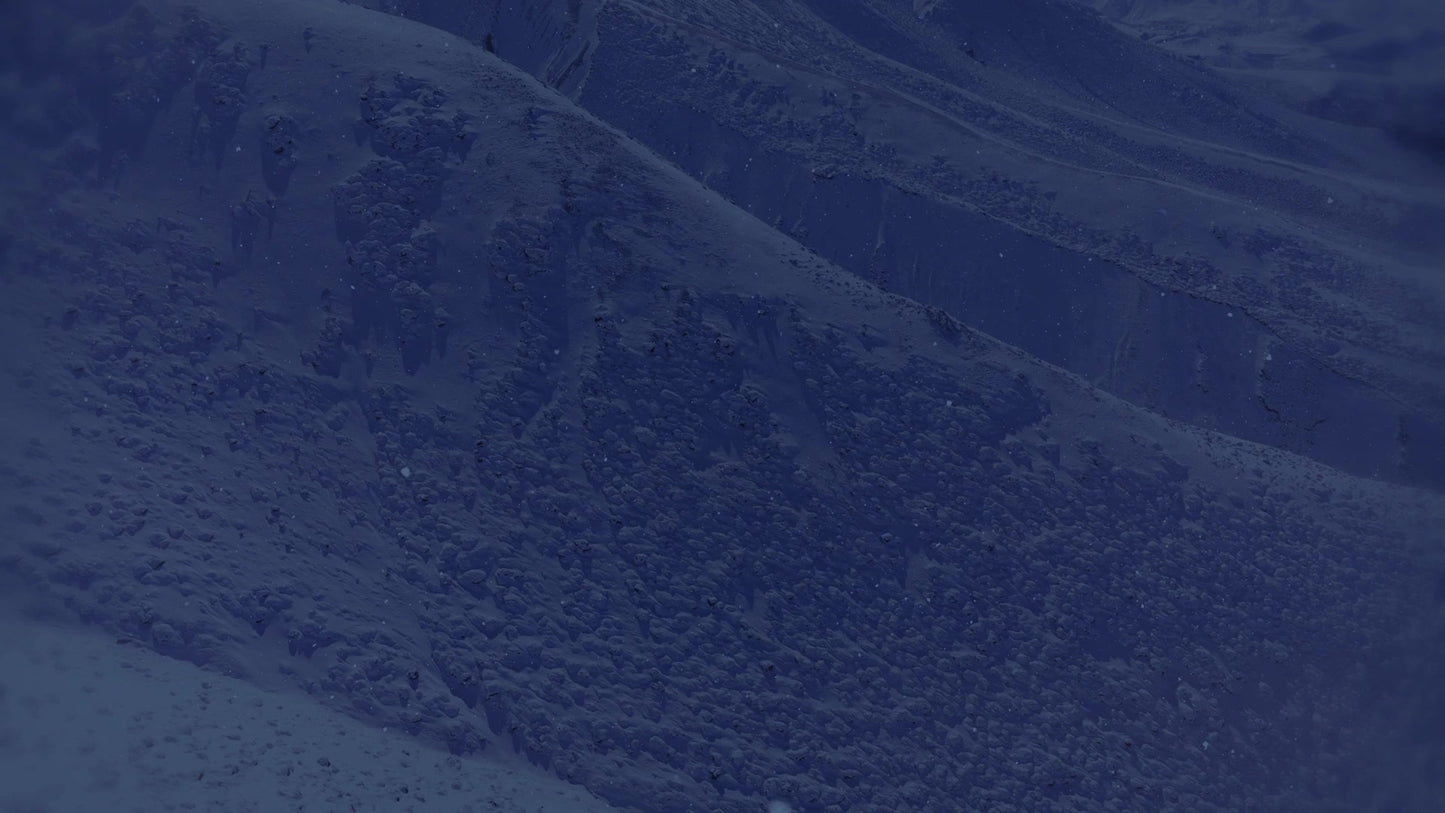 Deep Winter 11 Tint Still