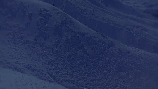 Deep Winter 11 Tint Still