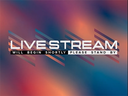 Neon Summer Live Stream