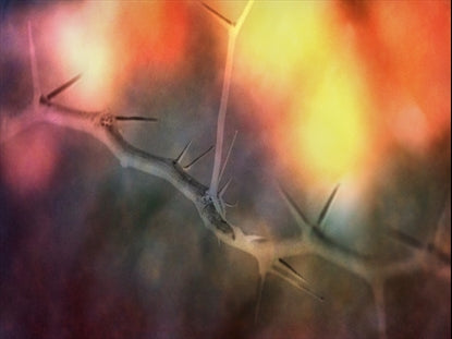 Grace Of Easter 14 Motion