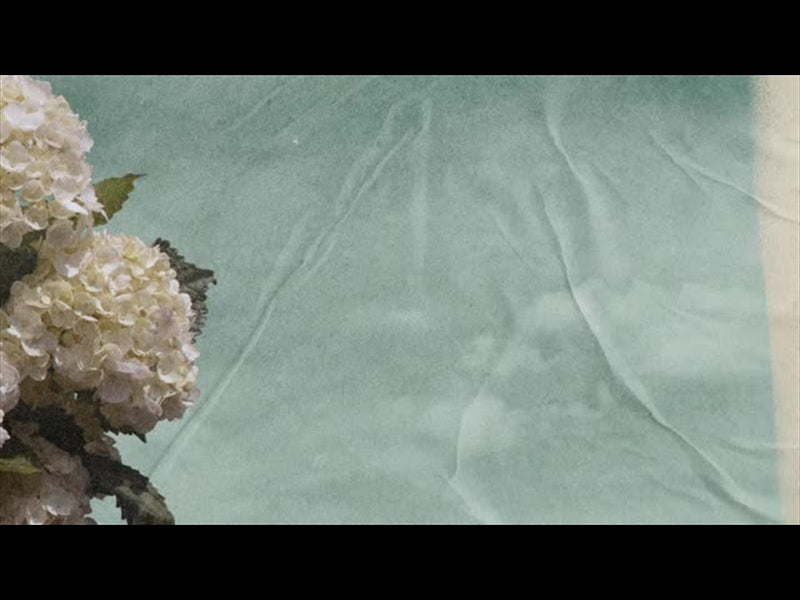 Hydrangea Loop 03