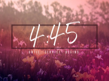 Wildflower Countdown