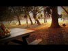 Thanksgiving Picnic Loop