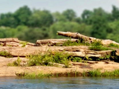 River Rock Motion